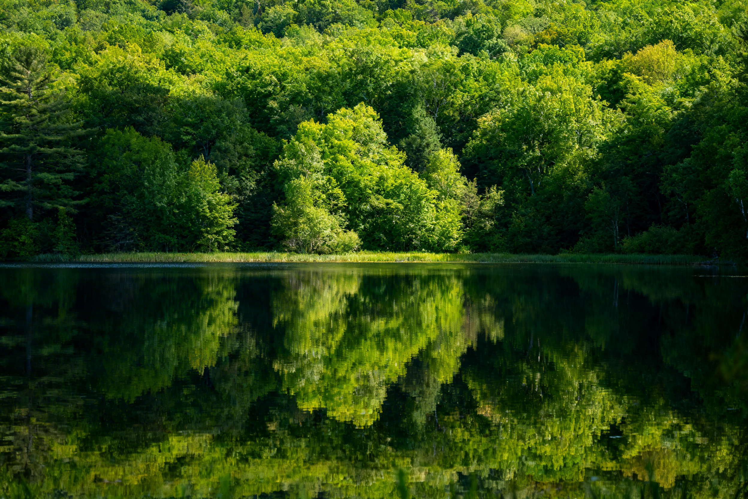 瓦尔登湖 夏景